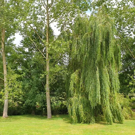 La Petite Maison De Leo *