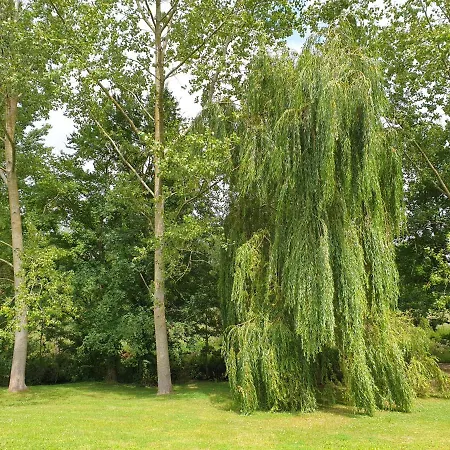 La Petite Maison De Leo *